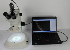 Sistem Analisis Gambar Metallografi Digital CCD 5MP H3000